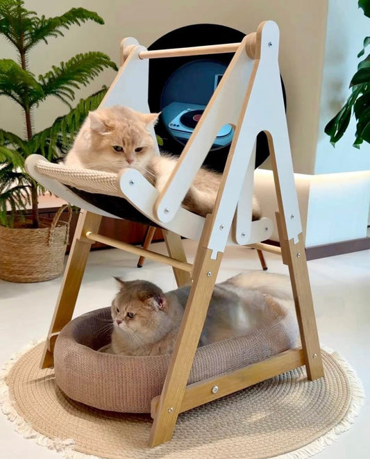 Double Layer Cat Rocker Bed – Comfort & Style in One 🐾